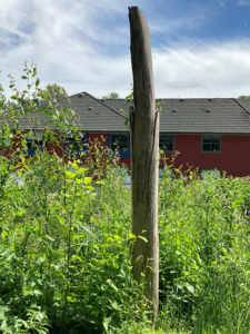 Habitat pole at the Lot O site