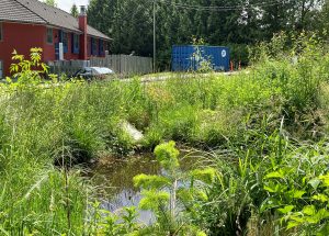 Natural pool at the Lot O site