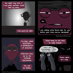 Spleen Ninja = you don't even see it coming