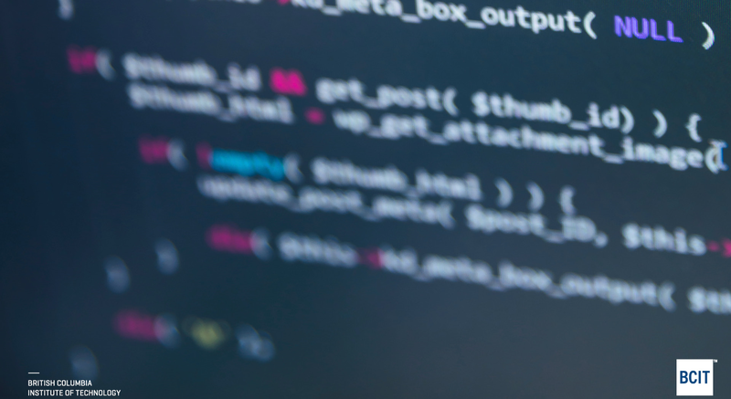 BCIT Business Information Technology Management program with Artificial Intelligence Management option