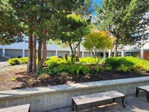 Garden and water feature on the Burnaby Campus
