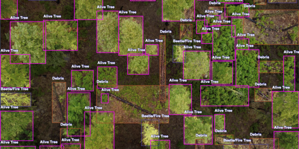 arial photo of a forest overlaid by squares labelled