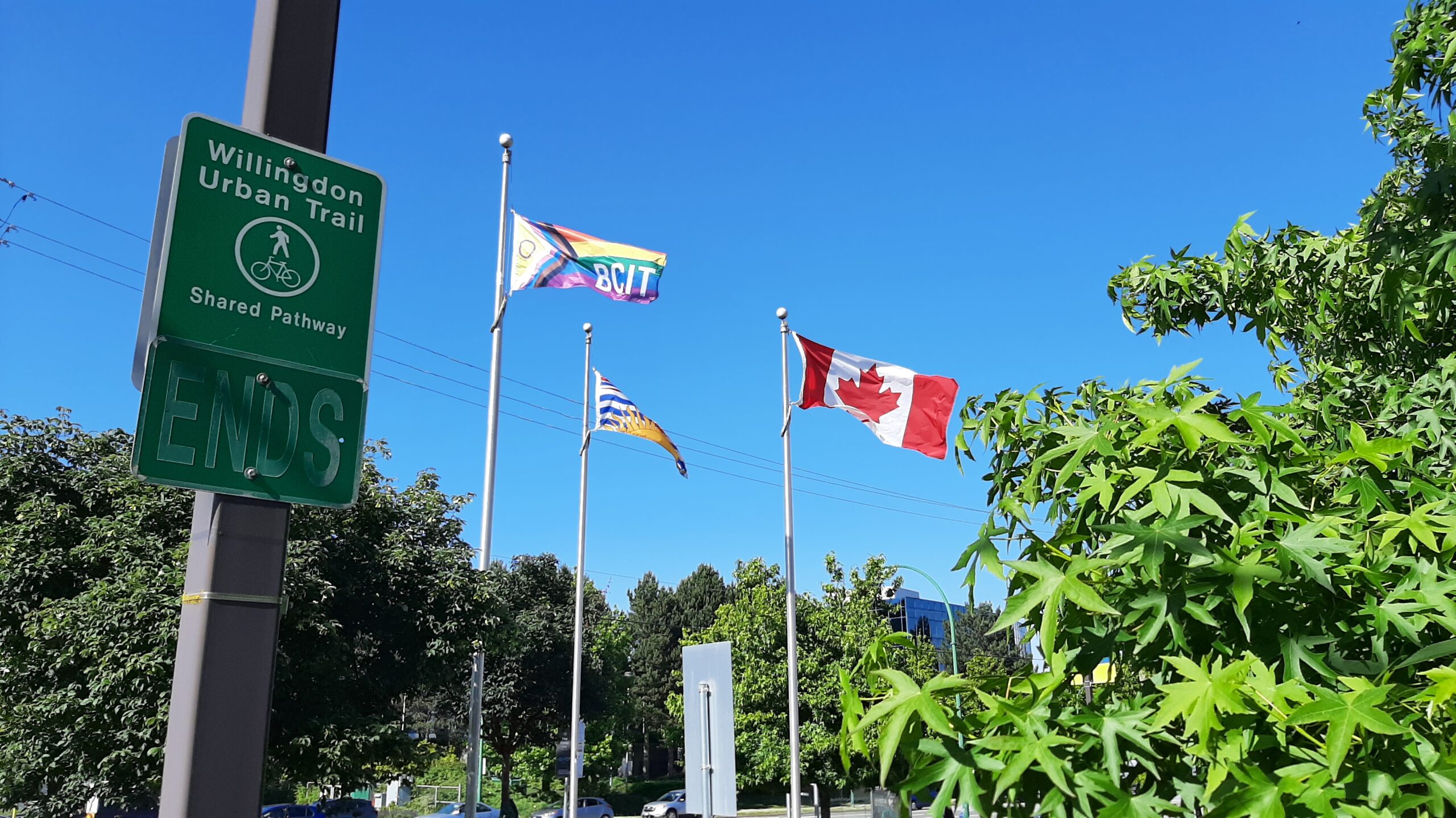 BCIT pride flags 2024