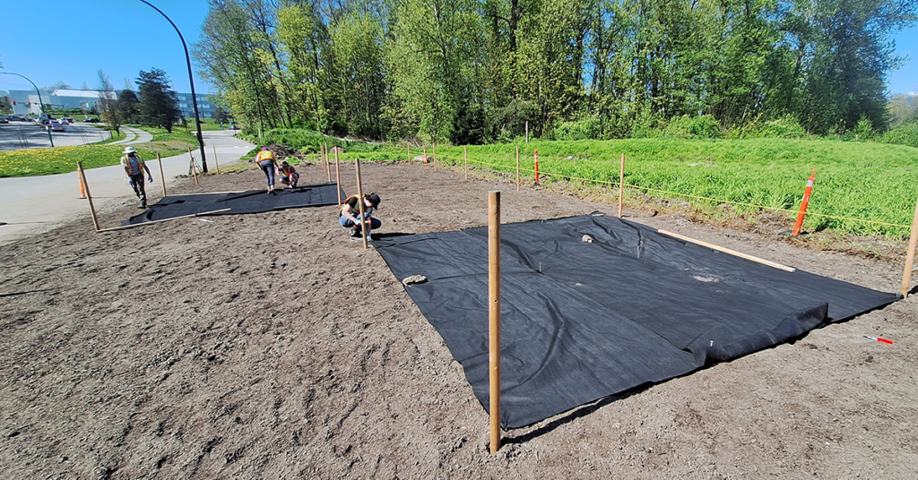 Students restore an area of Lot O
