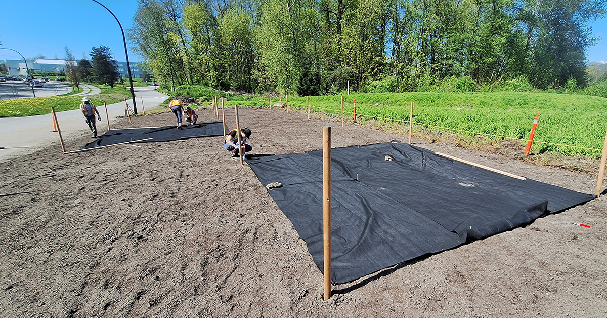 Students restore an area of Lot O