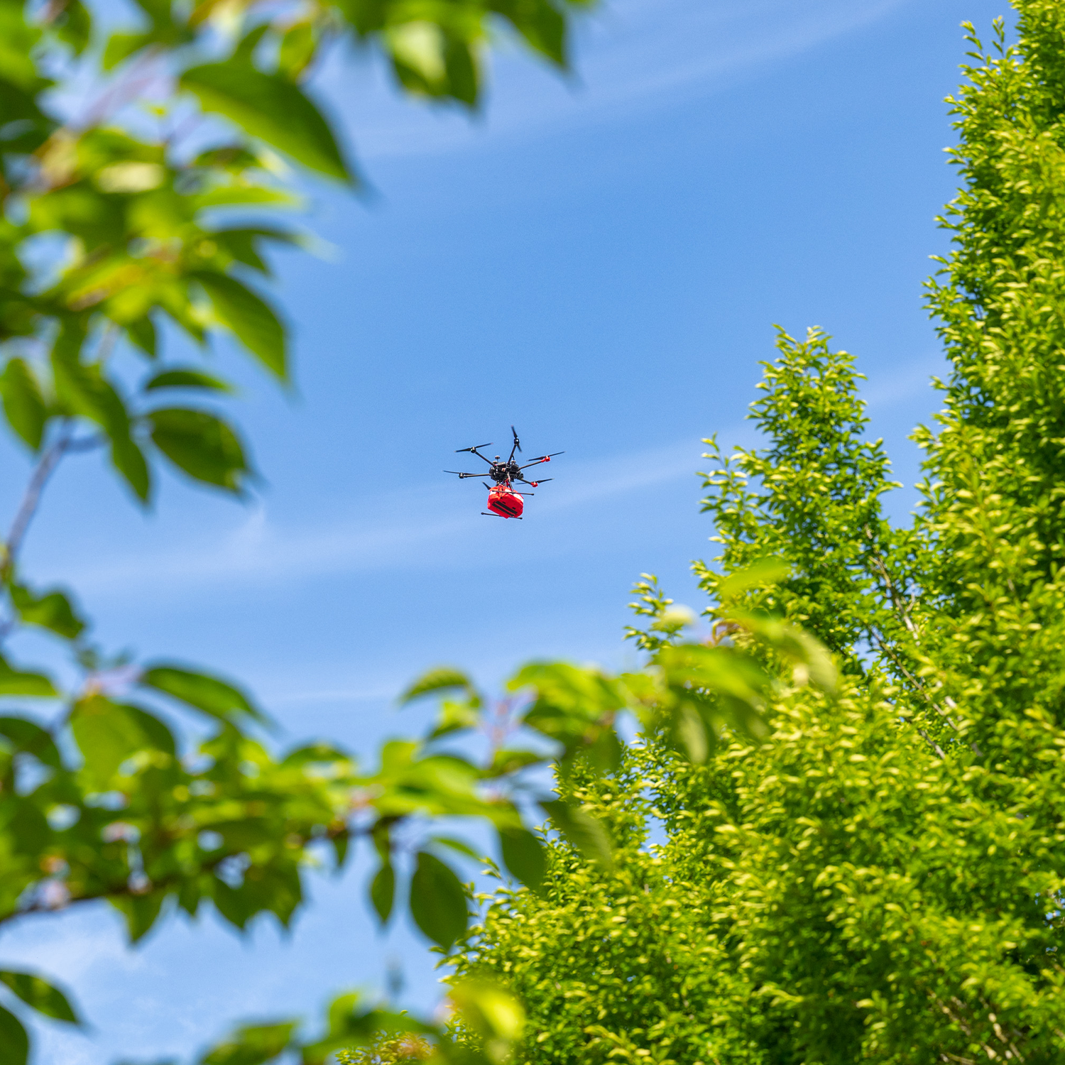 drone carrying red first aid box against blue sky and trees