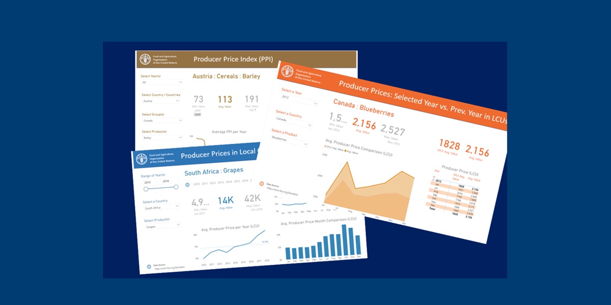 selection of data dashboards showing business performance metrics created in Power BI by BCIT Computing part time Flexible Learning student Lluvia Meneses