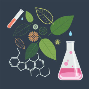 Illustration of test tubes, beaker, kratom leaves and molecules