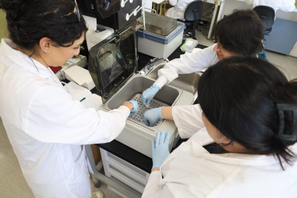 Biotechnology students in the lab