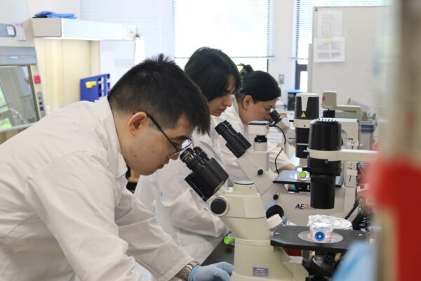 Three Biotechnology students looking through microscopes