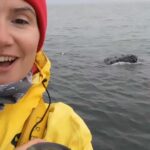 Emilie identifying marine wildlife.