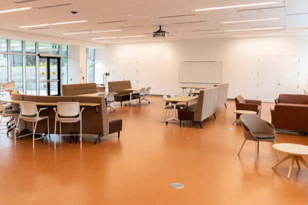 Tall Timber Great Lounge