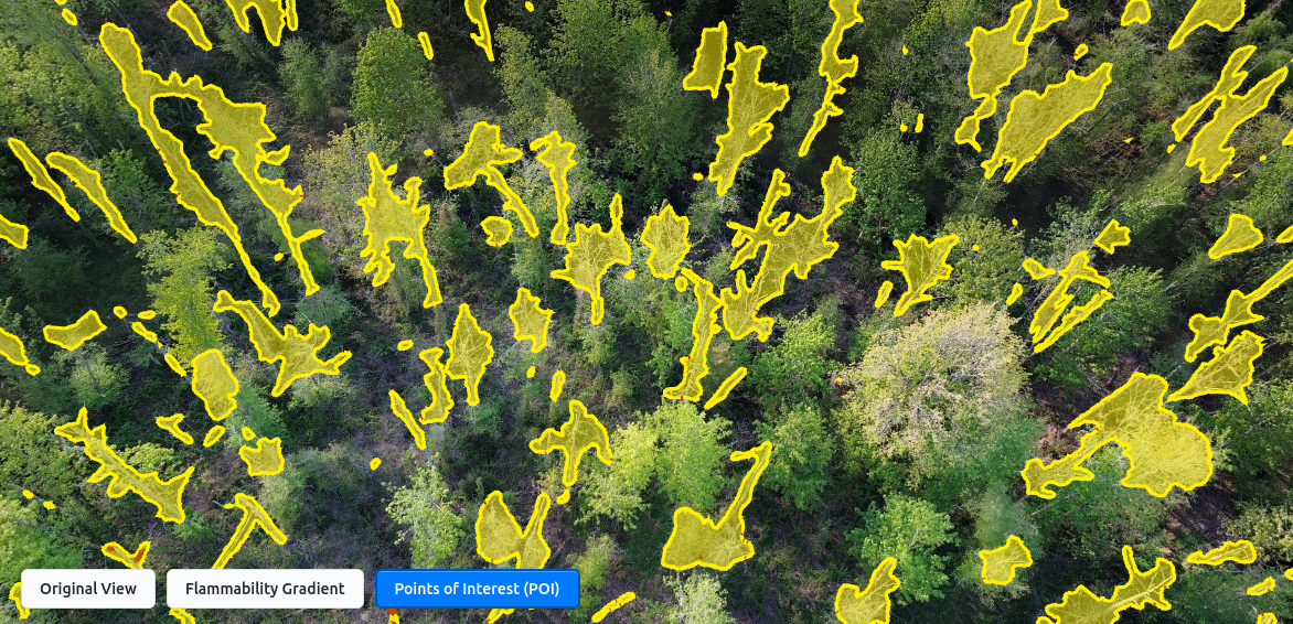 Drone image with AI highlighting flammability of trees