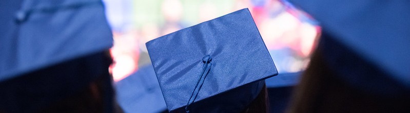3 blue graduation hats from behind.