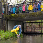 Salmon Release on Guichon Creek