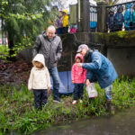 Salmon Release on Guichon Creek