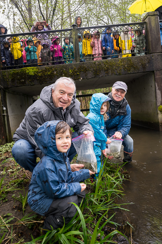 Salmon Release on Guichon Creek
