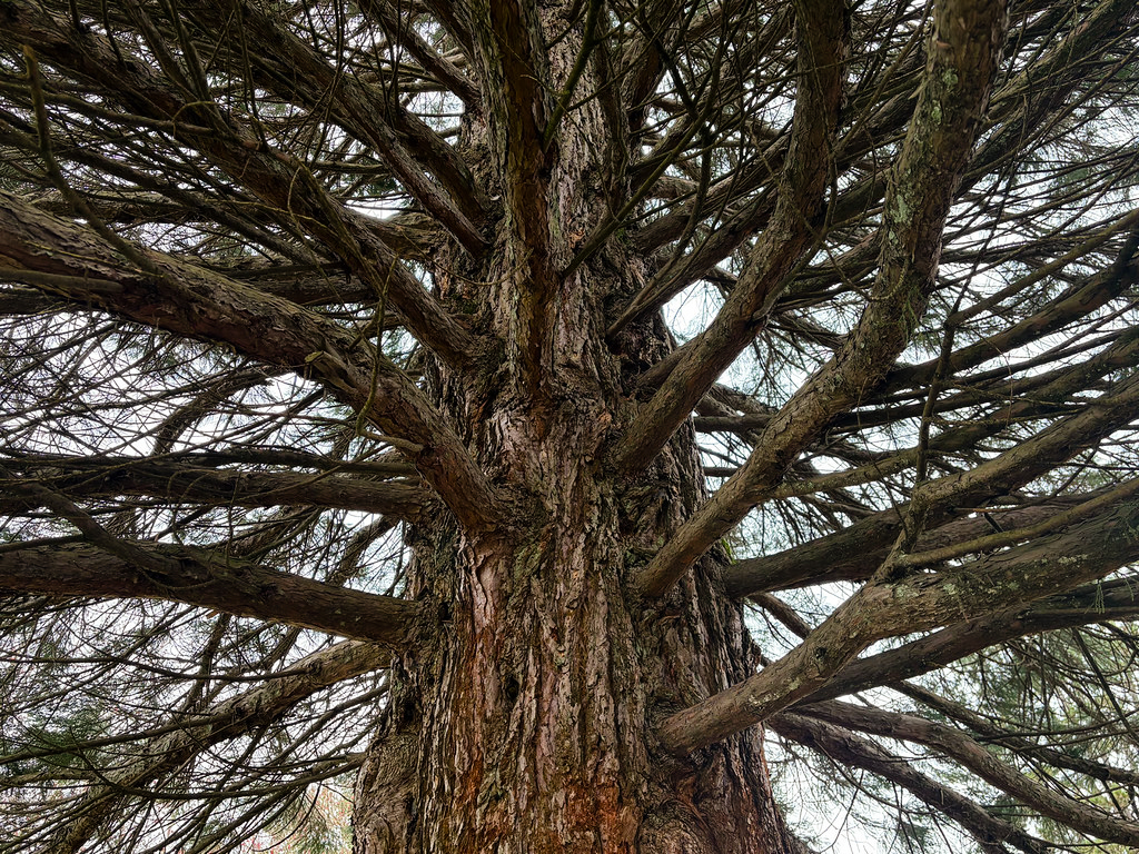 Second Place Wild BCIT Photo Contest