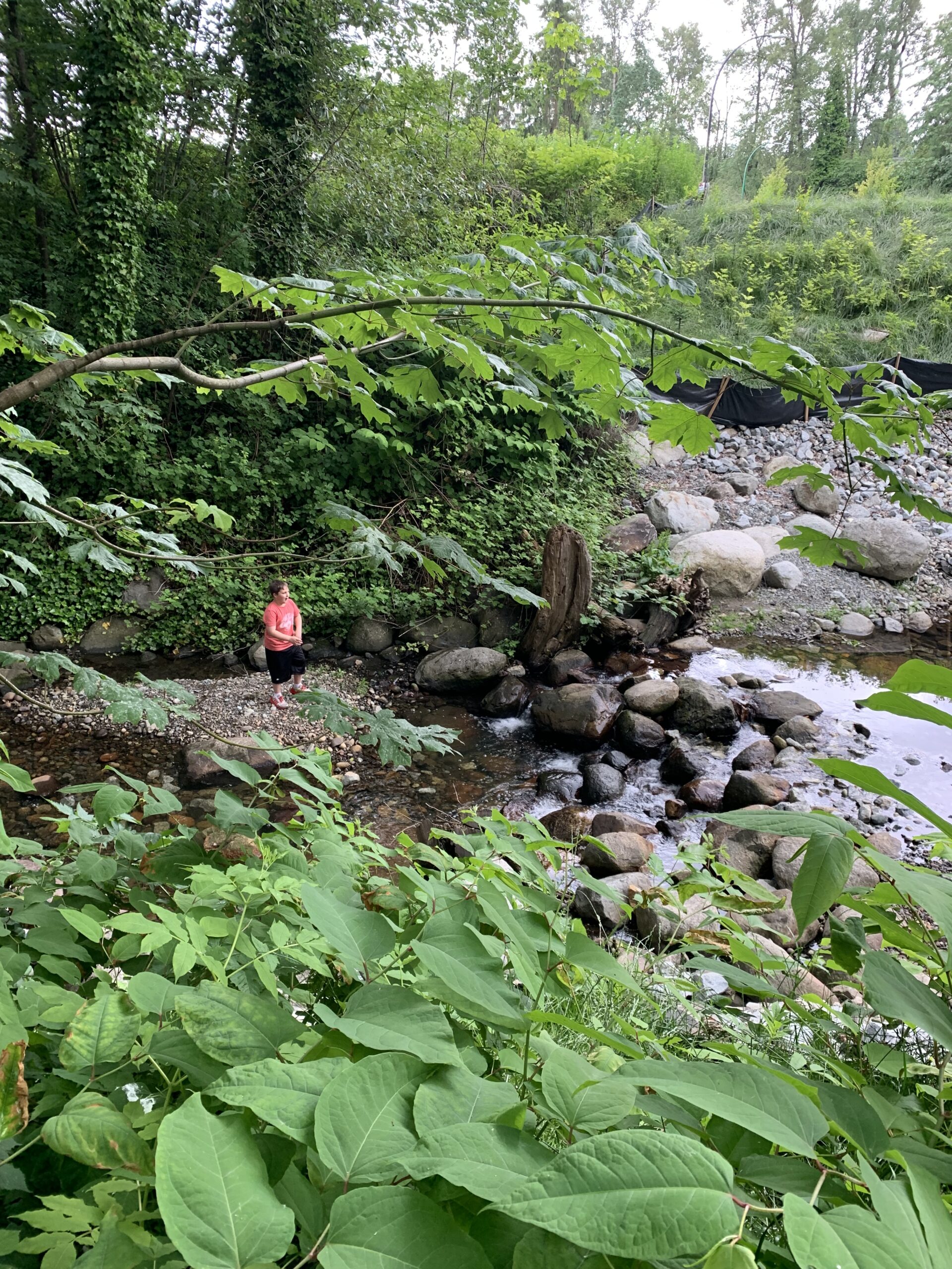 Pia and her family frequently find it a peaceful place to walk and spend time.