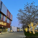 Runner Up Wild BCIT Photo Contest