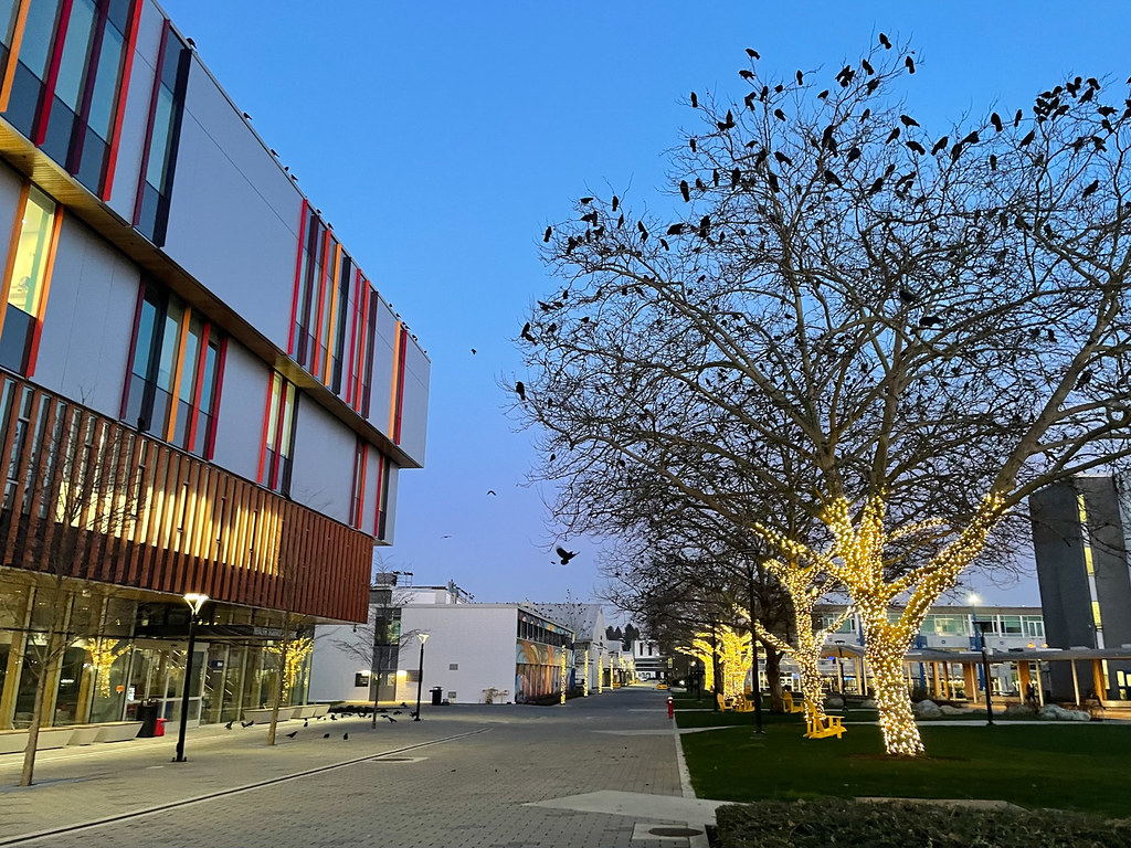 Runner Up Wild BCIT Photo Contest