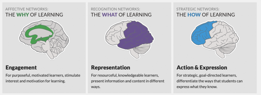 A visual depicting the three pillars of UDL - Engagement which looks at the why of learning; Representation which looks at the what of learning; and Action & Expression which looks at the how of learning.