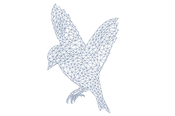 Wireframe illustration of a bird