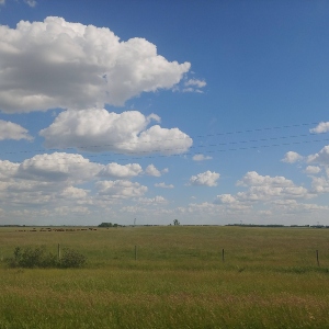 A flat field with a blue sky and white fluffy clouds.