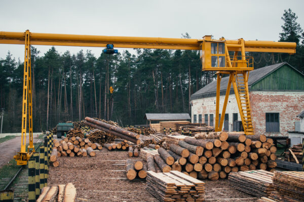 Wood logging, sorting, transportation and processing on sawmill - IWP-BOS Picture