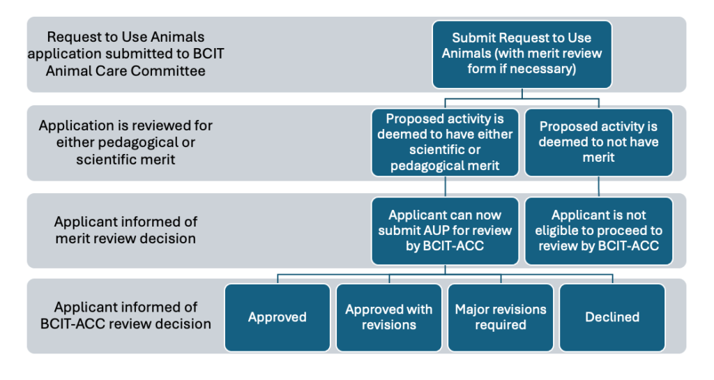 BCIT Animal Care Committee approval process workflow diagram